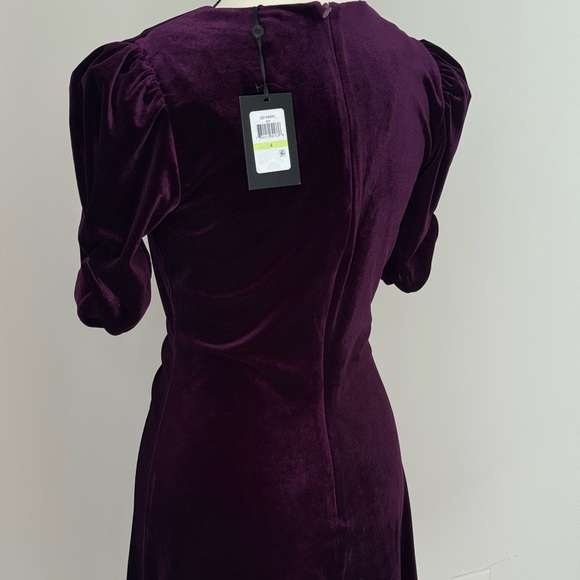 Elegant Purple Velvet Dress - Picture 5 of 5